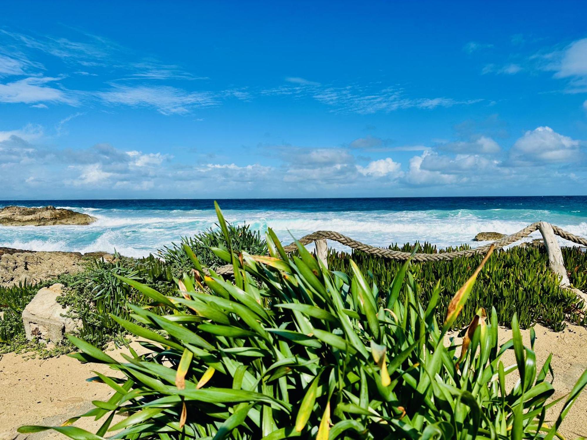 Apartments Campanitx - Astbury Formentera 에스 칼로 외부 사진